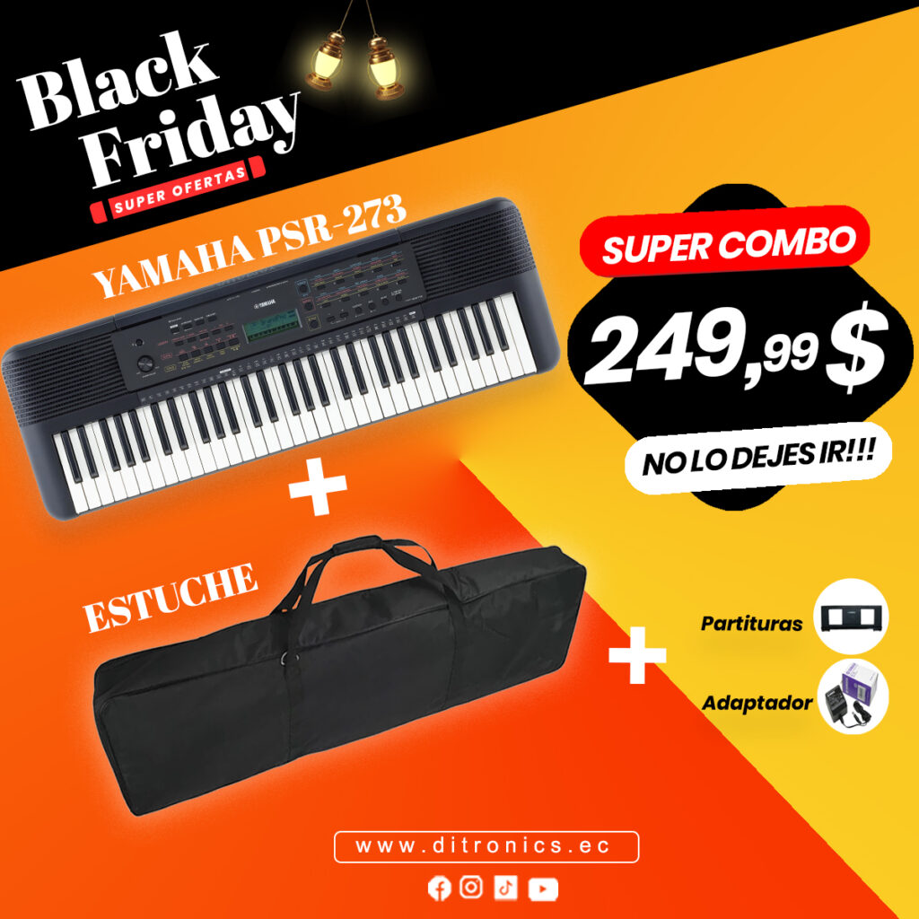 Combo 1 Oferta Teclado 273 estuche Ditronics Ecuador